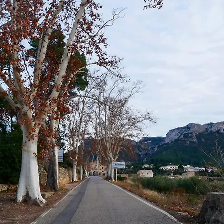 Apartament Rural Monetze Tivissa Exterior photo