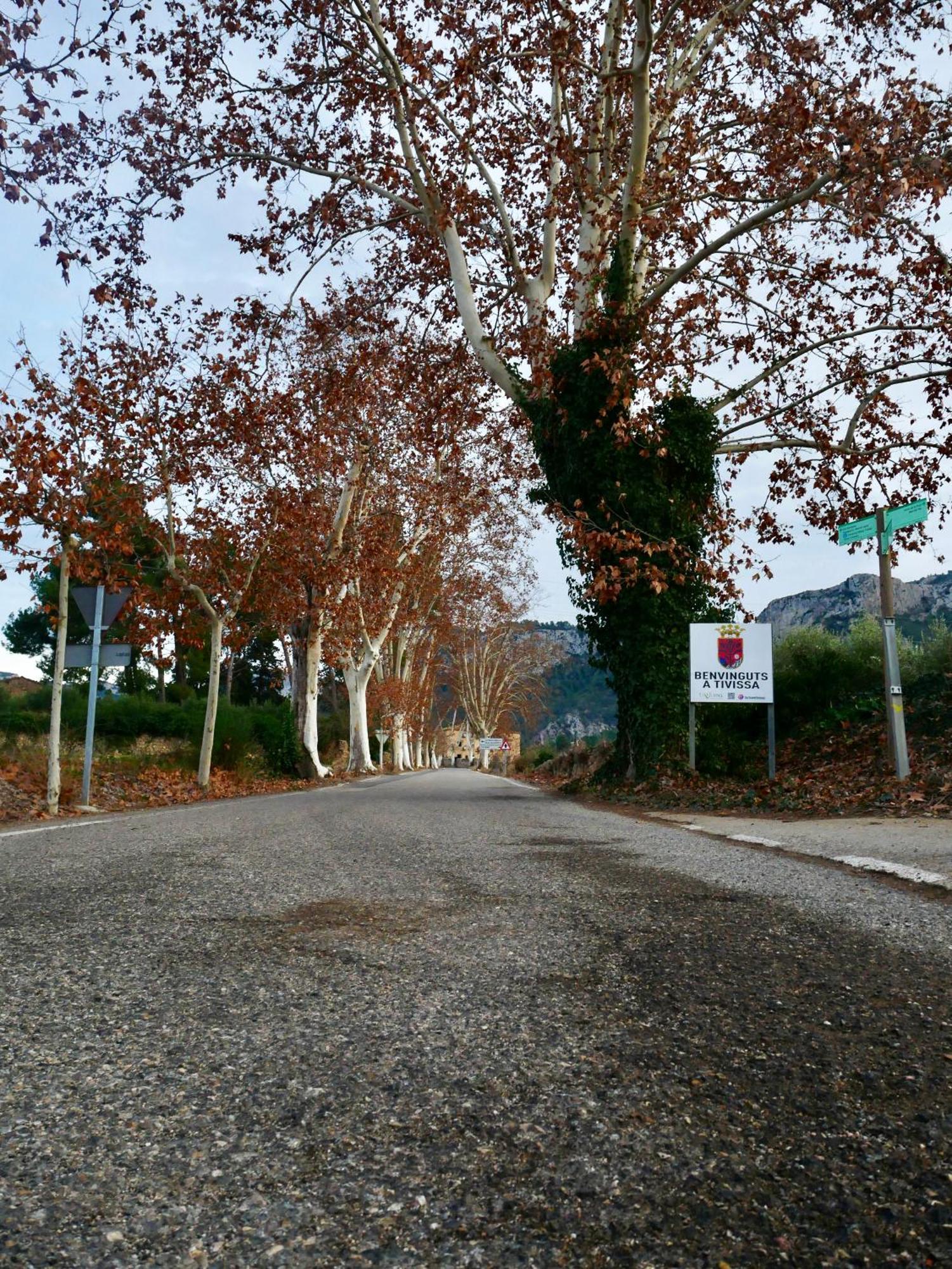 Apartment Rural Monetze